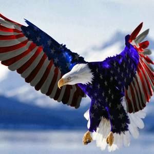 Meet your Posher, Randall